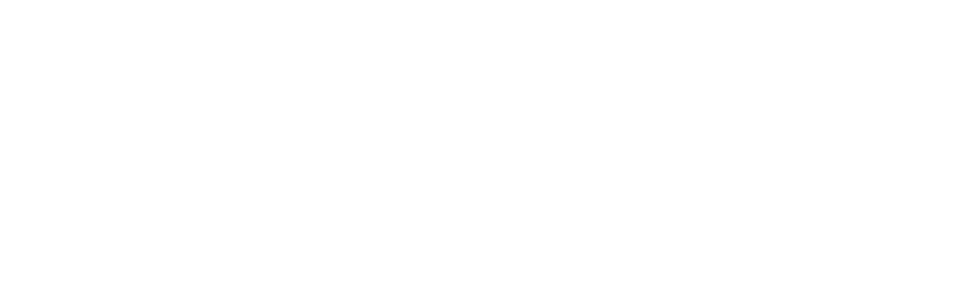 GNV Logo